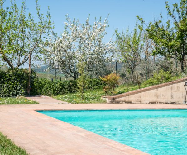 podere-le-maggiane_gallery-piscina-4